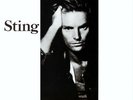 STING - Nothing Like The Sun 2 x VINYL LP 2016 A&M Back To Black EX Condition