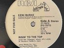 KENI BURKE 12