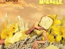 COUNTING CROWS: BUTTER MIRACLE SUITE ONE (LP vinyl *BRAND NEW*.)