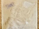 LED ZEPPELIN In Through The Out Door  2015 Reissue 180 Gram 2 LP Vinyl