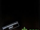 Dr. Dre 2001 (Instrumentals Only) Doppio Vinile Lp Nuovo Sigillato