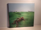Squid - Bright Green Field (Vinyl LP - Signiert/Signed)
