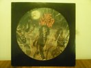 Slayer (Live Undead) original 1985  Picture disc MBR 1037 Metal Blade