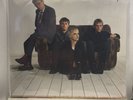 The Cranberries - No Need to Argue Original Vinyl Lp Record  Ilps 8029 A1/B1 EX
