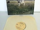 Pink Floyd The Dark Side Of The Moo LP Record