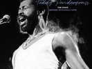 PENDERGRASS,TEDDY-JOHN MORALES PRESENTS TEDDY PENDERGRASS - VOICE VINYL LP NEW