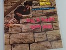 JAMES BROWN Sho Is Funky Down Here NEW Vinyl LP CLASSIC Rock Funk Instrumentals