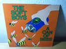 THE SOFT BOYS ‎– A CAN OF BEES (VINYL, Album, LP, Two Crabs Universal, Re, 1984