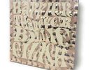 Billie Eilish Gucci Happier Than Ever Vinyl W/ Nail Stickers New Factory Sealed
