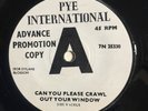 1965 UK PYE Intl Promo 45: The Vacels 'Can You Please Crawl Out Your Window? EX+
