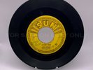 ELVIS PRESLEY - MYSTERY TRAIN 45 RPM - 2 RECORDS; SUN & RCA VICTOR LABELS