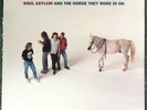 Soul Asylum and the Horse They Rode in On BLUE VINYL 1990, A&M