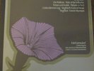 ERICH LEINSDORF / WAGNER symphonic works / SHEFFIELD LAB