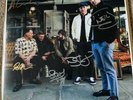 Stone Foundation - Everybody, Anyone White Vinyl Signed New Paul Weller