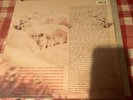BLACK SHEEP A Wolf In Sheep’s Clothing 2LP VG++ Vinyl
