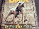 DMX Grand Champ Vinyl LP RECORD USA Def Jam 440 063 359-1 Promo Record