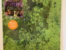 Animal Collective - Water Curses - Vinyl EP Record SEALED  2008 Domino 1st