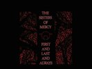 Sisters Of Mercy First And Last And Always MOFI MFSL MOBILE FIDELITY VINYL LP