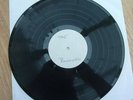 Echo and the Bunnymen - Crocodiles  White Label - vinyl in excellent condition