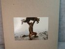 Shellac - Dude Incredible - vinyl