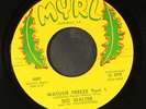 BIG WALTER: watusie freeze / part 2 MYRL 7
