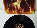 Picture Wings LP Vinyl Record new