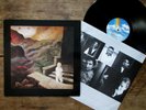 OINGO BOINGO - Dark At The End Of The Tunnel (1990) Vinyl, LP Original Pressing