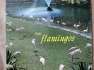 The Flamingos CHECKER LP 1433 MONO M-/M- RARE  LP