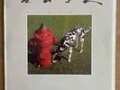 Rush - Signals Vinyl