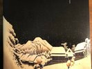 Weezer Pinkerton Vinyl LP Record Blue Marble Gatefold NM