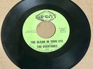 Overtones SWEET NORTHERN SOUL 45 Gleam In Your Eye What Would I Do HIP CITY HEAR