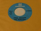 The Winstons  45  Amen Brother / Color Him Father  Metromedia  Soul