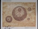 signed LUTHER DICKINSON 180g 12