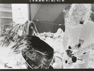 Nirvana BLEACH (EU) Debut Album REMASTERED New Sealed Black Vinyl Record LP
