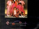 The Cool Notes Have A Good Forever... NEAR MINT Intercord Vinyl LP