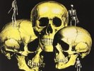 SKULL SNAPS