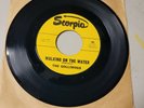 Vinyl Record 45 RPM The Golliwogs ( Now Creedence Clearwater Revival)