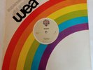 MADONNA TODOS QUEREMOS EVERYBODY LP SINGLE VINYL MEXICO SECOND HAND 1982
