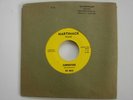 PSYCH GARAGE ROCK THE WHAT ESCAPE DYLLON SUMMERTIME MARTINACK RECORD 7