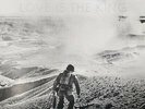 Jeff Tweedy Love Is The King CLEAR vinyl LP NEW/SEALED