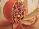 Ryo Kawasaki LP -Juice - Promo Stamp -1st Press