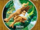Disney's Tarzan Walt Disney Exclusive Limited Edition Picture Disc Vinyl LP
