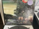 FLEETWOOD MAC Tango In The Night VG+ Vinyl In Shrink With HYPE STICKER