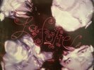 The Stranglers - La Folie - Vinyl Record.. - G7814G