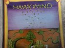 HAWKWIND FIRST ALBUM LIBERTY LABEL G/F SLEEVE EX/EX CONDITION
