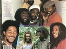 DON CARLOS & GOLD - THE GLADIATORS  SHOW-DOWN VOL. 3 LP  RARE REGGAE VINYL