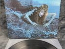 LP Roxy Music - Siren | Japan Press | VG+/VG+ | Rock
