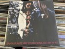 Lenny Kravitz - Are You Gonna Go My Way - NEW Vinyl LP Record Album