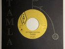 The Supremes Florence Ballard on vocals / Buttered Popcorn / Tamla/TMR 45  MINT