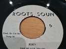 THE BLACK TRAPS - Eden. JA Roots Sound 45. Leroy Brown. Reggae killer.